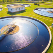 کلاریفایر احیا